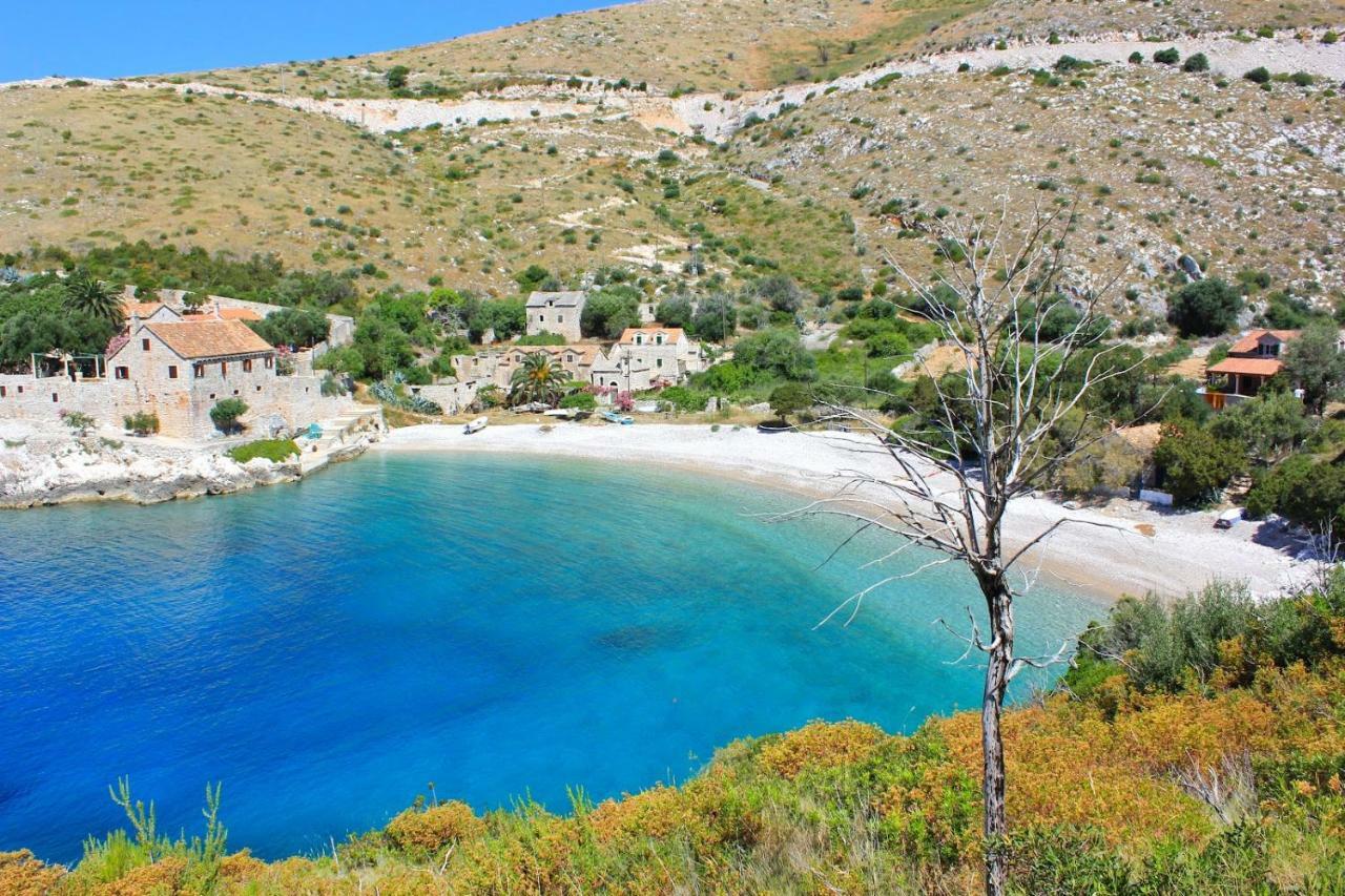 Benedeta-dubovica Hvar *